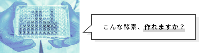 こんな酵素、作れますか